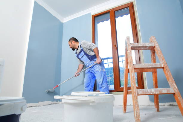 Best Mold Odor Removal Services  in Mendon, IL