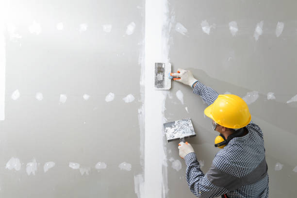 Best Forensic Mold Investigation  in Mendon, IL