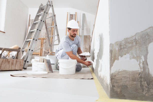 Best Post-Remediation Verification Testing  in Mendon, IL