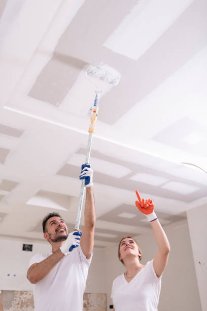 Mold Remediation for Vacation Homes in Mendon, IL