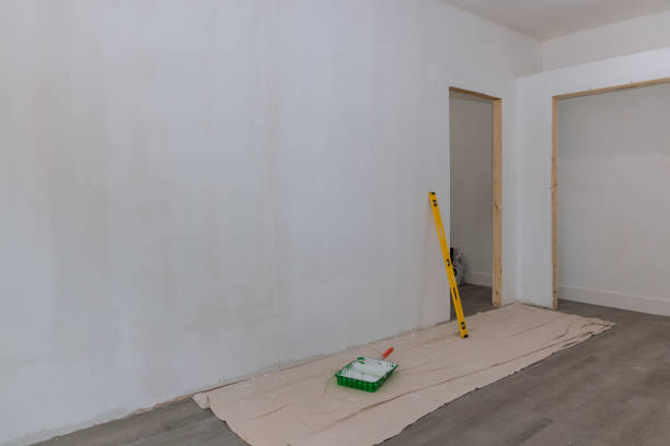 Best Basement Mold Removal  in Mendon, IL