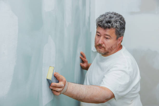 Best Comprehensive Air Testing for Mold Contaminants  in Mendon, IL