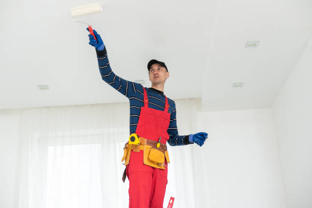 Best Mold Removal for HVAC Installations  in Mendon, IL