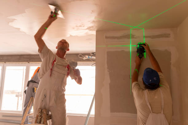 Best Industrial Mold Remediation  in Mendon, IL