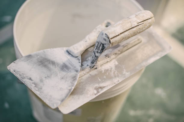 Best Dehumidification Services  in Mendon, IL
