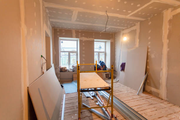 Best Airborne Mold Testing  in Mendon, IL