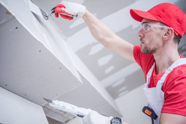 Best Attic Mold Removal  in Mendon, IL