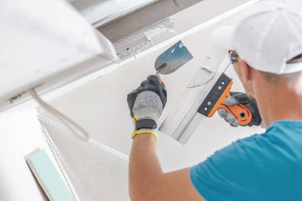Best Residential Mold Inspection & Testing  in Mendon, IL